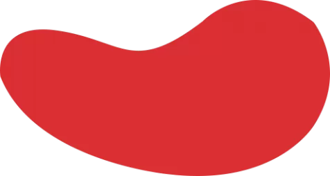 新利平台官网|18新利app苹果版